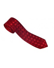 Buy men's designer silk ties and wedding neckties - Alvaro Castagnino
