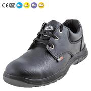 Alloy Safety Shoes